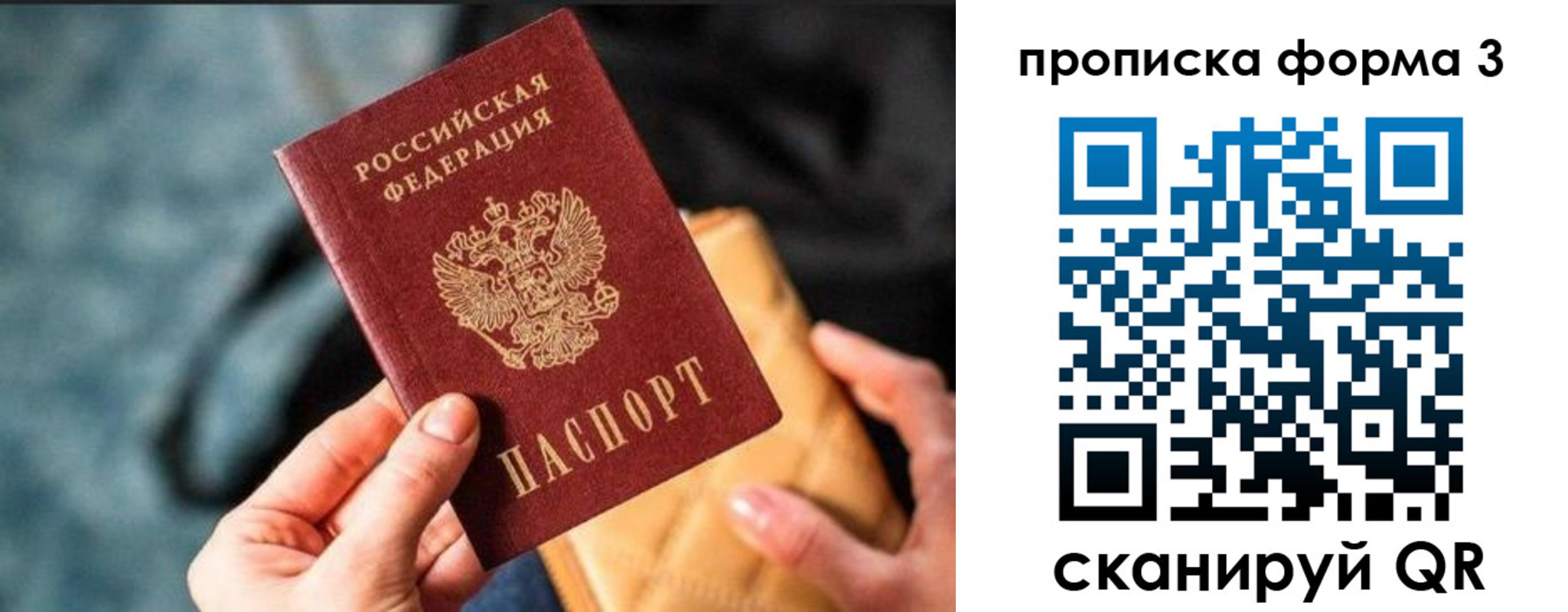 прописка гарантия в Хвалынске